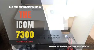 How AM Modulation Transmits Sound on the ICOM IC-7300 Radio