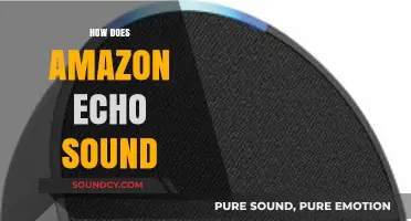 Amazon Echo Sound Quality: A Comprehensive Review and Analysis