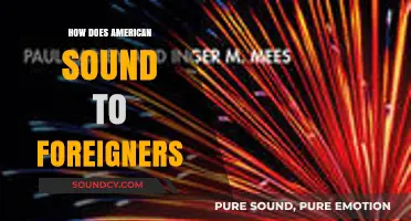 How American English Sounds to Non-Native Ears: A Global Perspective