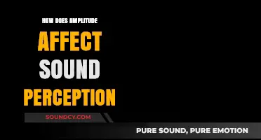 Amplitude's Impact: How Sound Intensity Shapes Our Auditory Experience