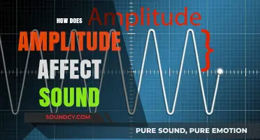 Amplitude's Impact: How Loudness Shapes Sound Perception and Quality