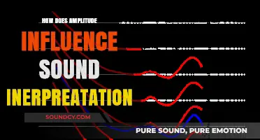 Amplitude's Impact: Shaping Sound Perception and Interpretation Explained