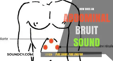 Understanding the Audible Clues: What an Abdominal Bruit Sounds Like