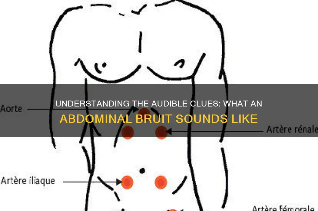 how does an abdominal bruit sound