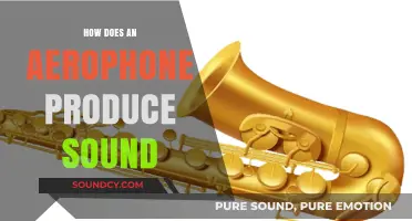 Understanding Aerophones: How Wind Instruments Create Vibrant Musical Sounds