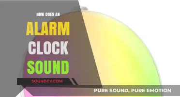 Exploring the Buzz: How Does an Alarm Clock Sound?