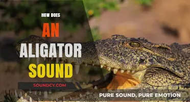 Unveiling the Unique Sounds of Alligators: A Comprehensive Guide