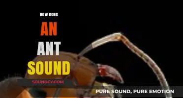 Unveiling the Tiny Symphony: How Ants Communicate Through Sound