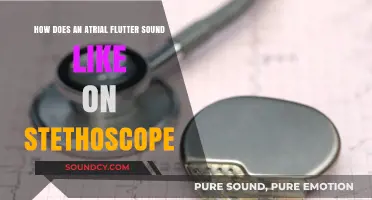Listening to Atrial Flutter: Recognizing the Unique Stethoscope Sounds