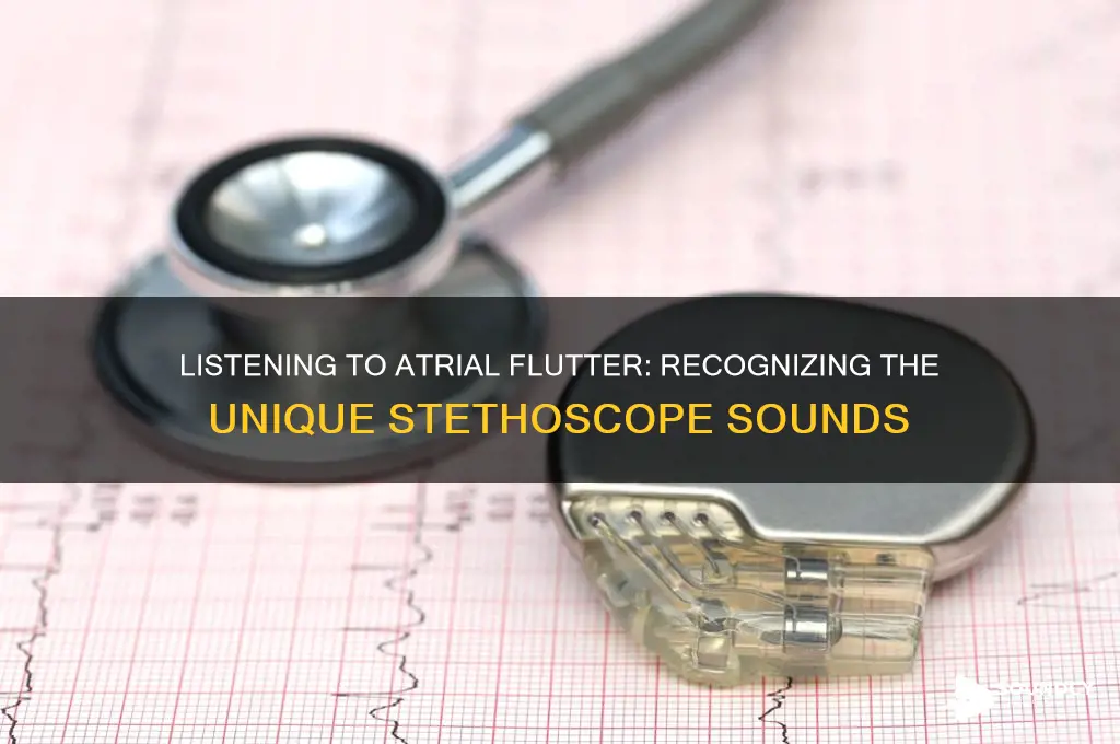 how does an atrial flutter sound like on stethoscope