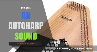 Exploring the Unique, Chime-Like Sound of the Autoharp