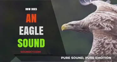 Exploring the Majestic Eagle's Unique Calls and Vocalizations