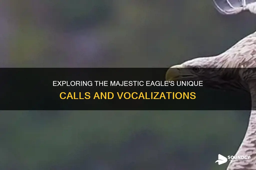 how does an eagle sound