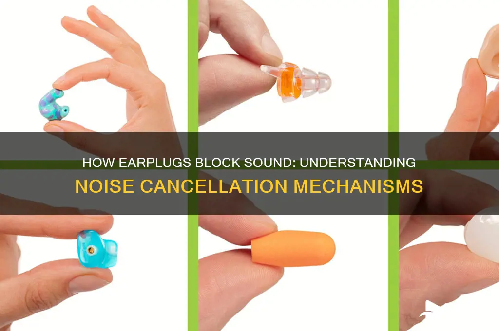 how does an earplug interrupt sound