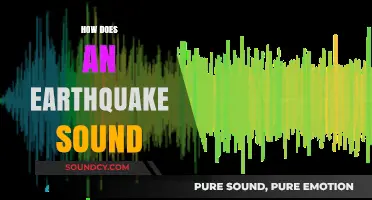 Unveiling the Mysterious Sounds of Earthquakes: What Do They Reveal?