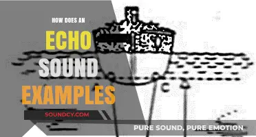 Exploring Echo Sounds: Real-Life Examples and Their Unique Characteristics