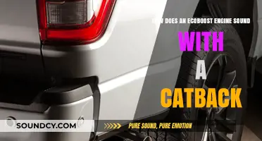 Ecoboost Engine's Roar: Catback Exhaust Sound Upgrade Explored