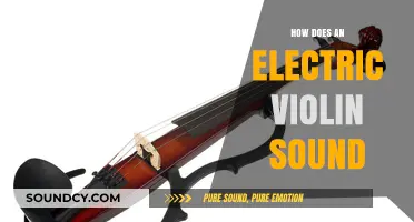 Exploring the Unique Tone and Versatility of Electric Violins