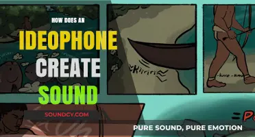 Unveiling Ideophones: The Art of Creating Vivid Sonic Imagery in Language