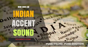 Exploring the Unique Melodies and Characteristics of an Indian Accent