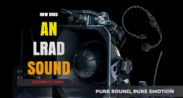 Unveiling the LRAD: Understanding Its Unique and Powerful Acoustic Signature