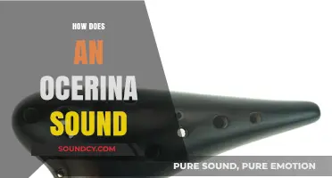 Discover the Unique, Ethereal Sound of an Ocarina: A Guide