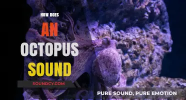 Unveiling the Mysterious Sounds of Octopuses: A Deep Dive into Their Communication