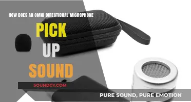 How Omni-Directional Microphones Capture Sound from Every Angle
