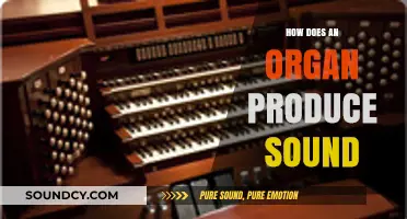 Unveiling the Science: How Organs Create Musical Sound Waves