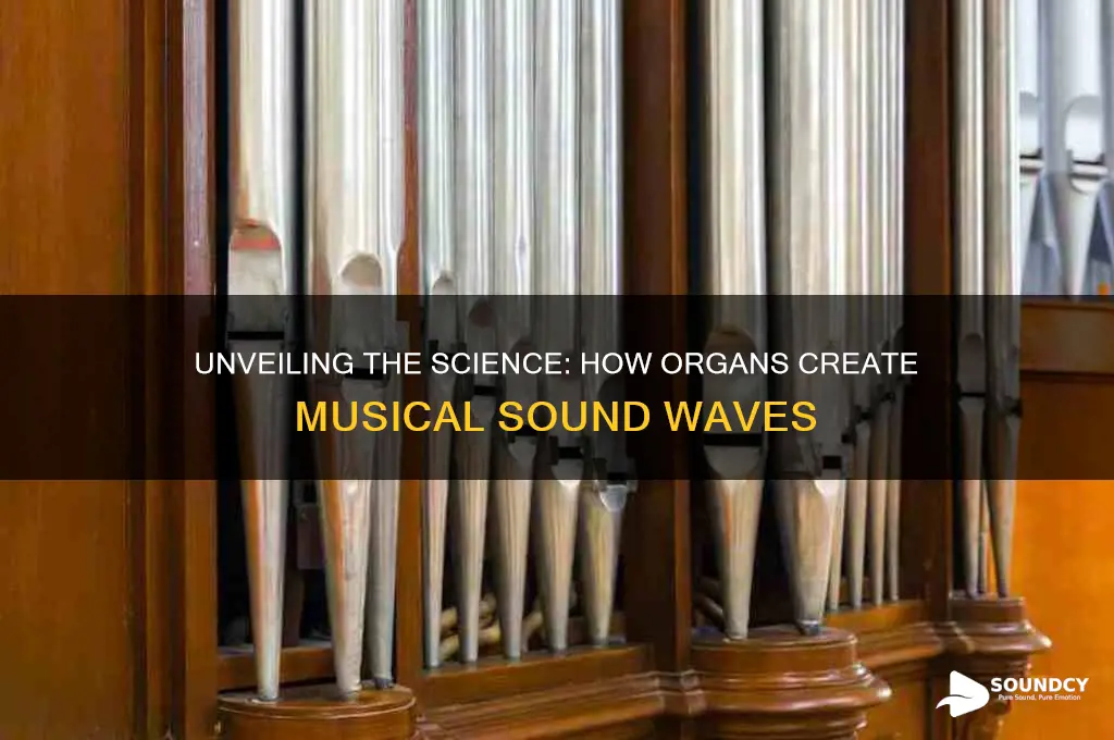 how does an organ produce sound