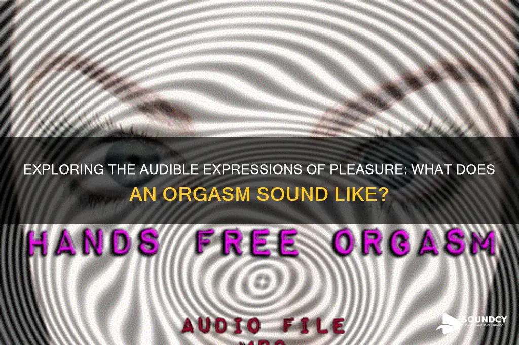 how does an orgasm sound