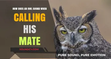 The Mystical Hoots: Decoding an Owl's Mating Call and Meaning