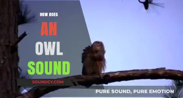 Unveiling the Mystical Hoots: How Does an Owl Sound?