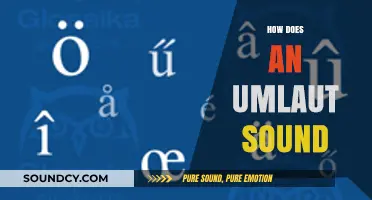 Understanding the Unique Sound of the Umlaut in Languages