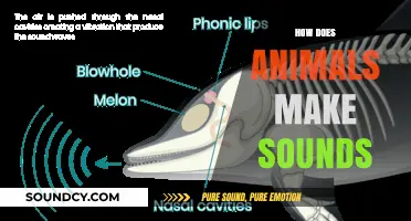 Unveiling the Fascinating Ways Animals Create Unique Sounds in Nature