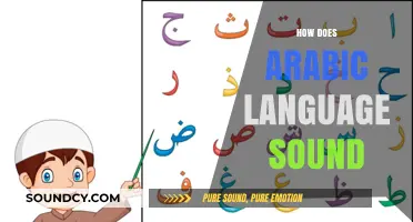 The Melodic Rhythms and Unique Cadences of Arabic Language Sounds