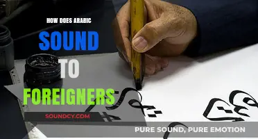 How Arabic Sounds to Foreign Ears: A Linguistic Journey