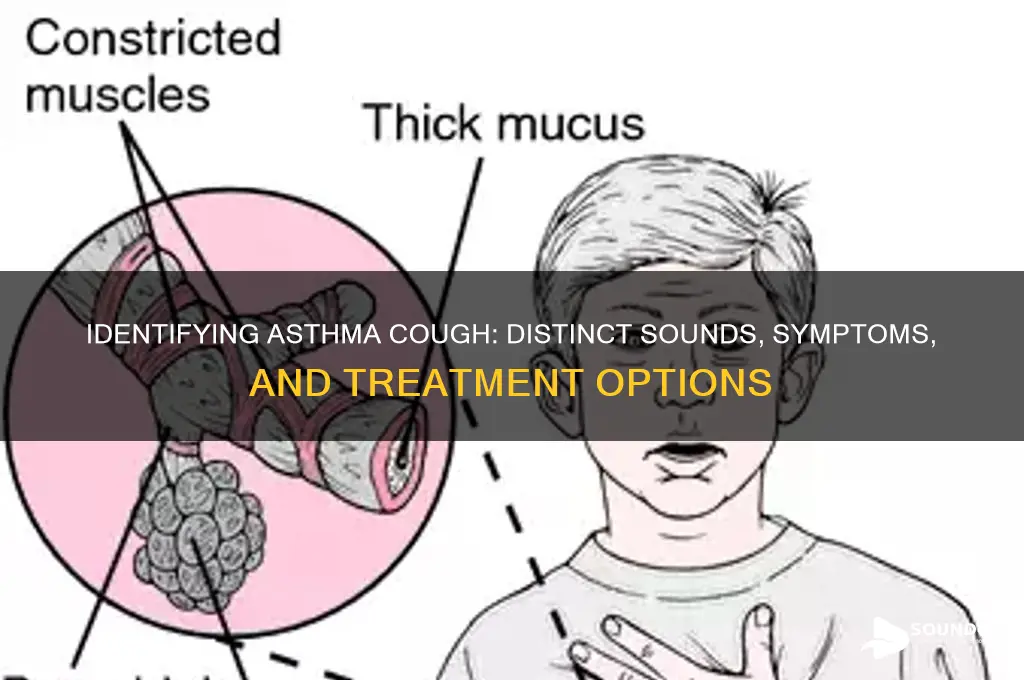 how does asthma cough sound