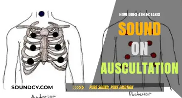 Auscultation Insights: Identifying Atelectasis Lung Sounds and Characteristics