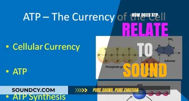 ATP's Role in Energy Production for Sound Generation Explained