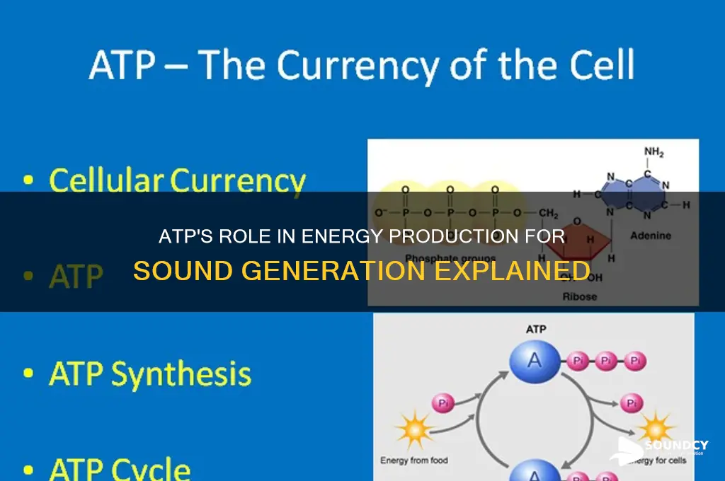 how does atp relate to sound