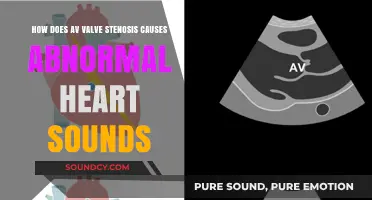 AV Valve Stenosis: Unraveling the Link to Abnormal Heart Sounds