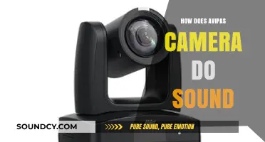 How Avipas Camera Captures and Enhances Sound Quality