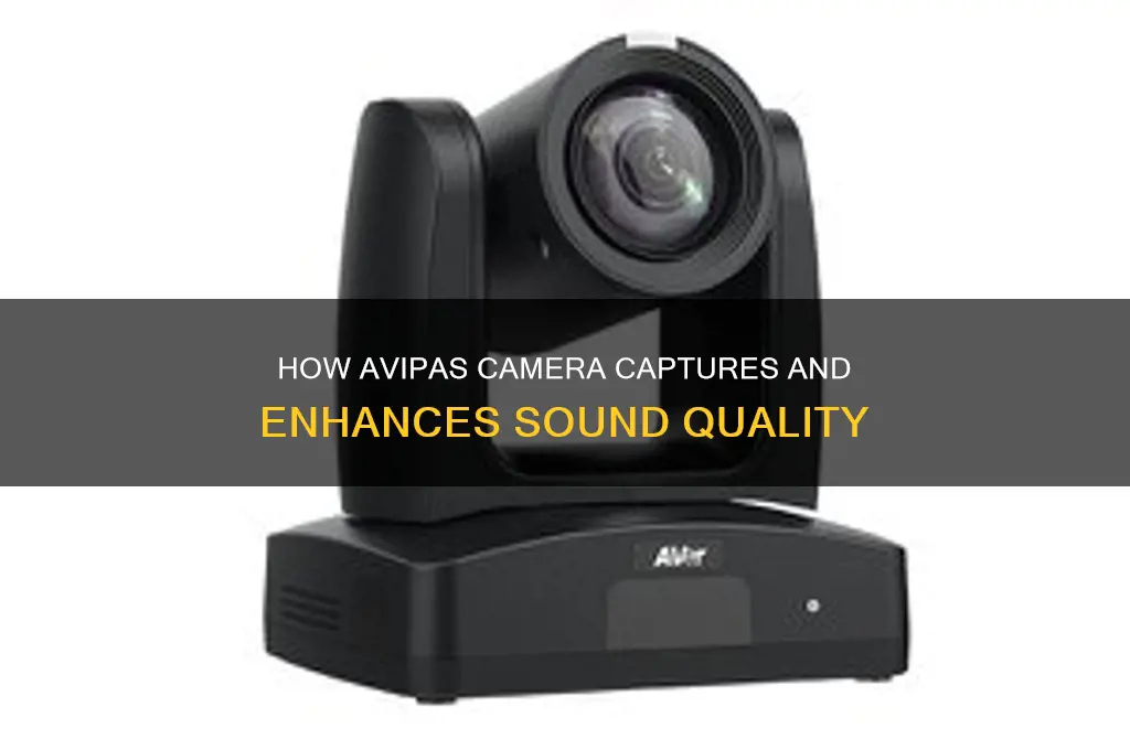 how does avipas camera do sound