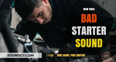 Recognizing the Grinding, Whirring, or Clicking Noise of a Failing Starter