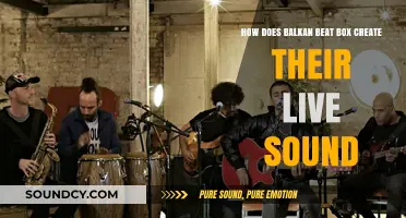 Balkan Beat Box's Live Sound: Fusion, Energy, and Cultural Rhythms Explained