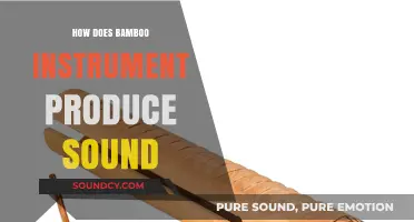 Unveiling Bamboo's Musical Magic: How These Instruments Create Sound