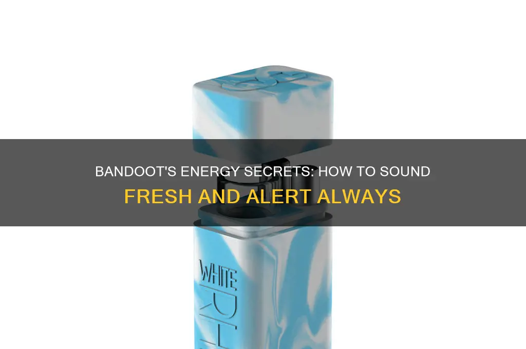 how does bandoot not sound tired