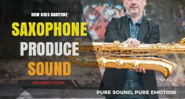 Unveiling the Rich Tone: How Baritone Saxophones Create Their Distinct Sound