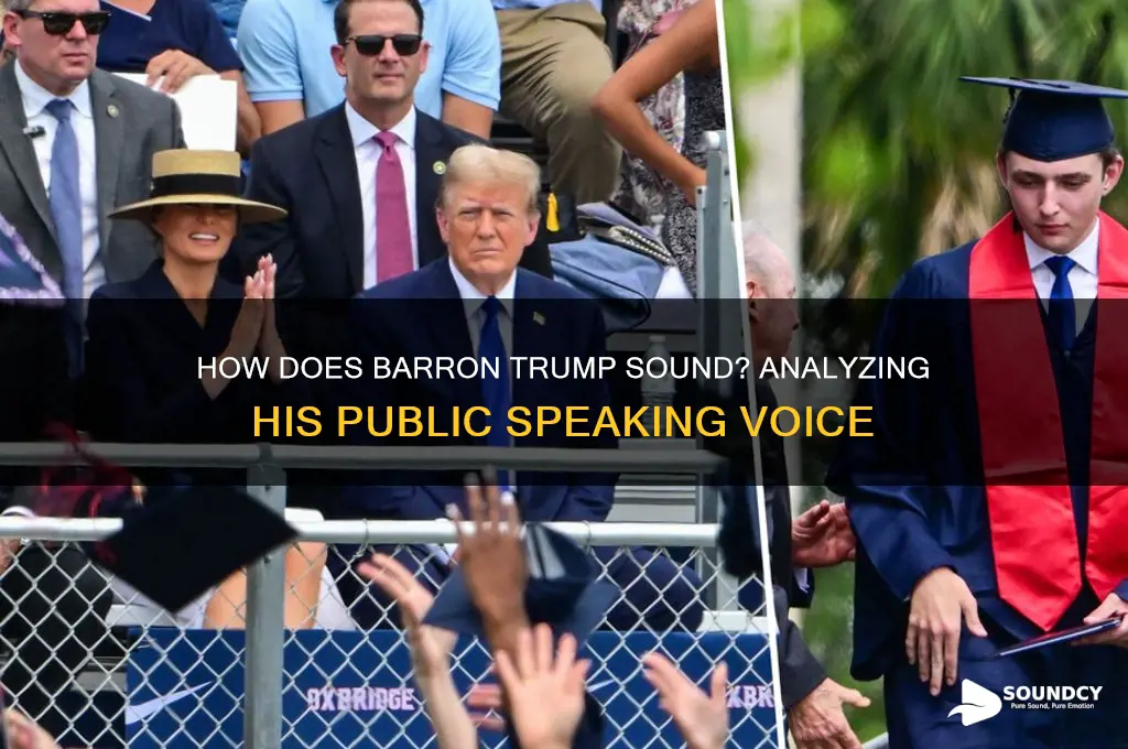 how does barron trump sound